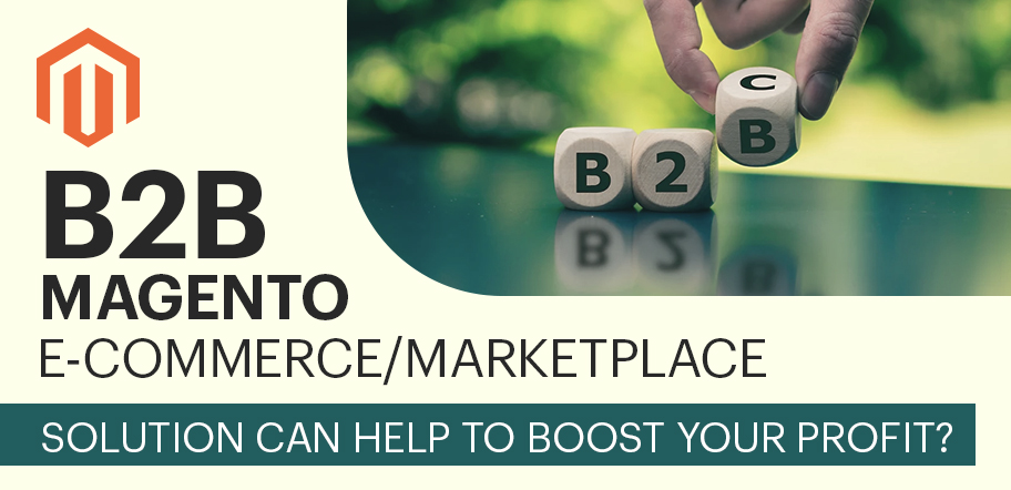 How Magento B2B E-commerce/Marketplace Solution can help to boost your profit?
